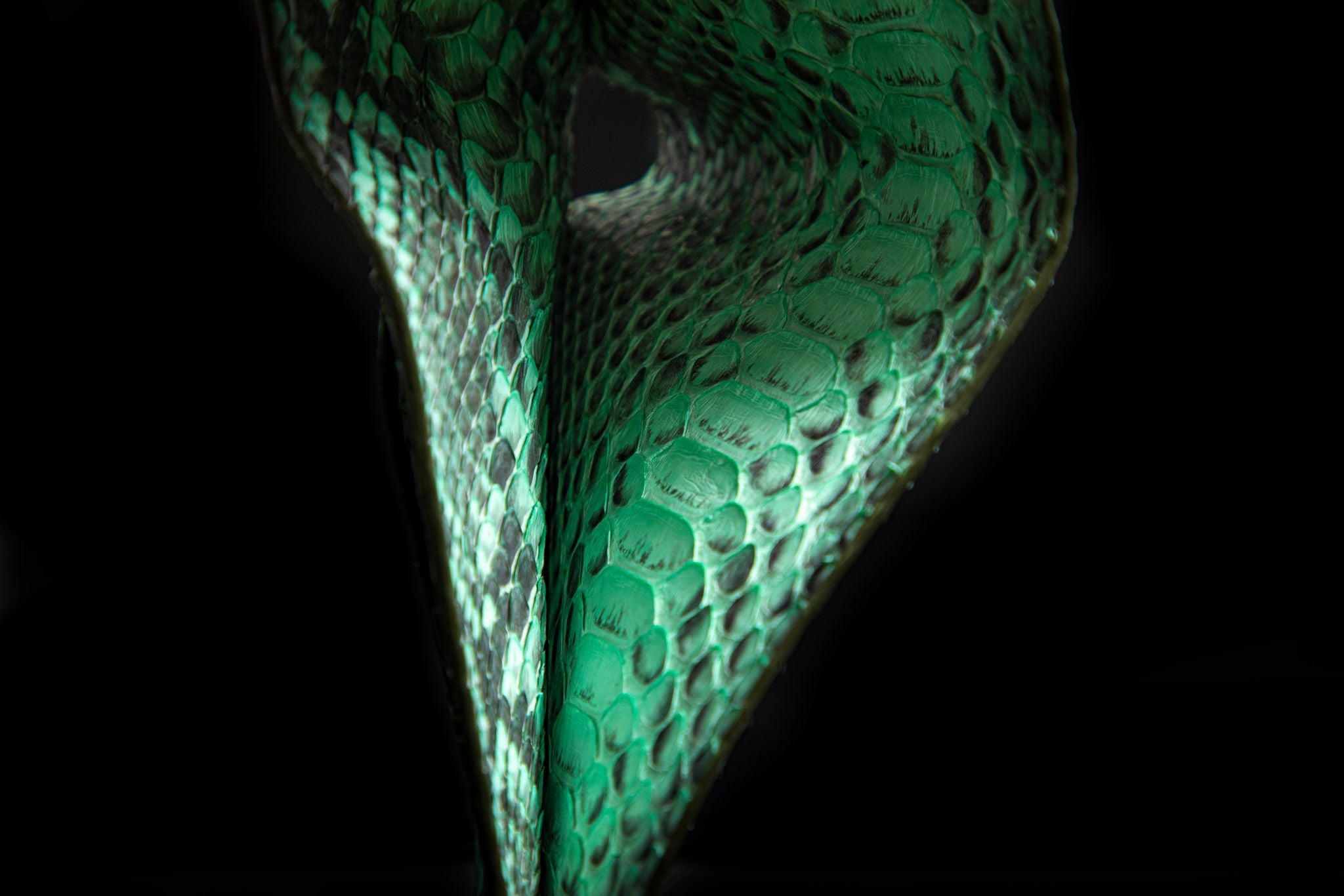 GREEN PYTHON LEATHER WALLET
