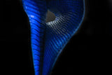 BLUE LIZARD LEATHER WALLET