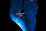 BLUE PYTHON LEATHER WALLET